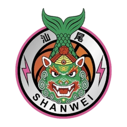 河源队
